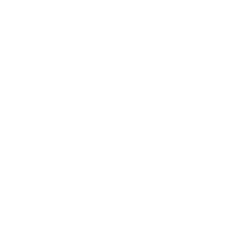 icons-18+